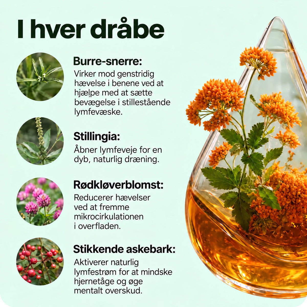 Lynora Lymfedrænende Dråber™