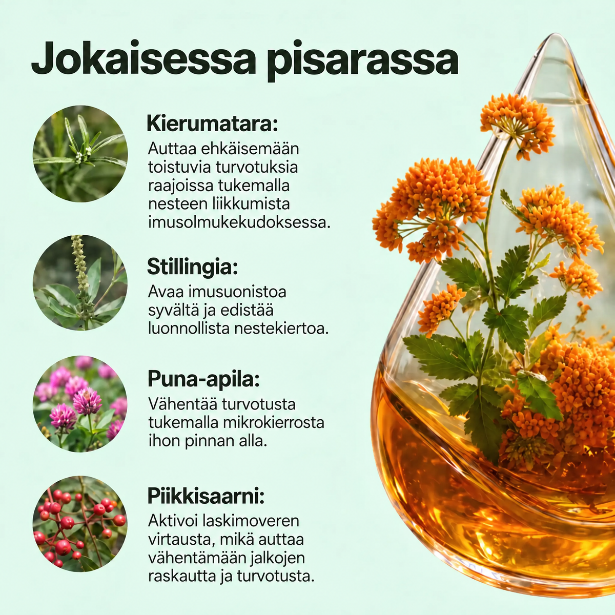 Lynora imunestettä poistavat tipat™